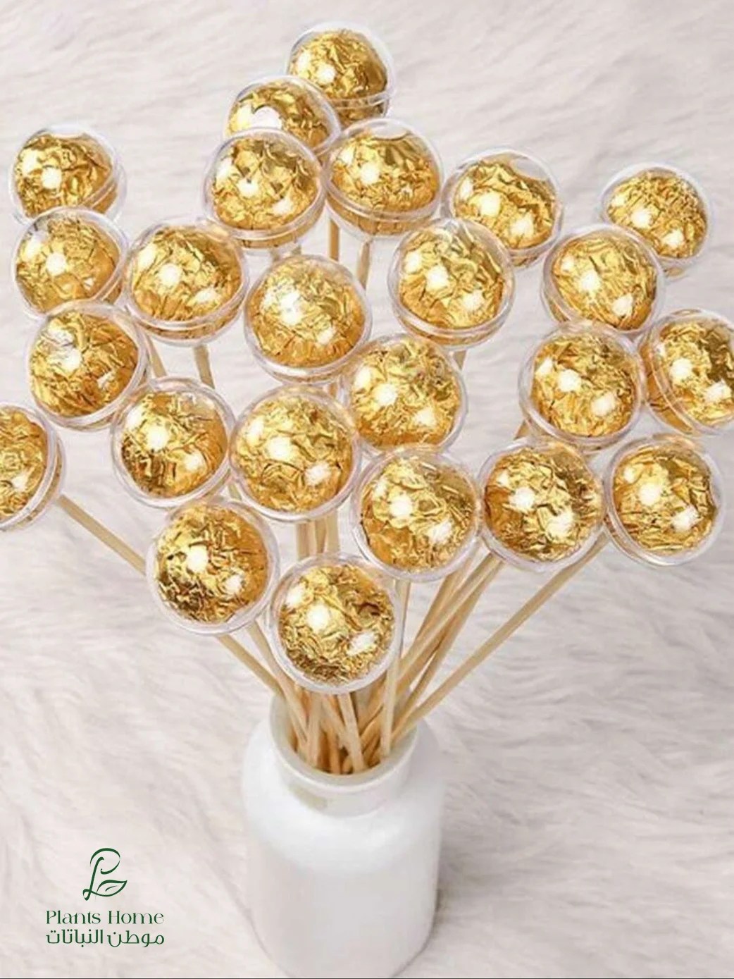 تغريسة شوكلت روشية مع النباتات