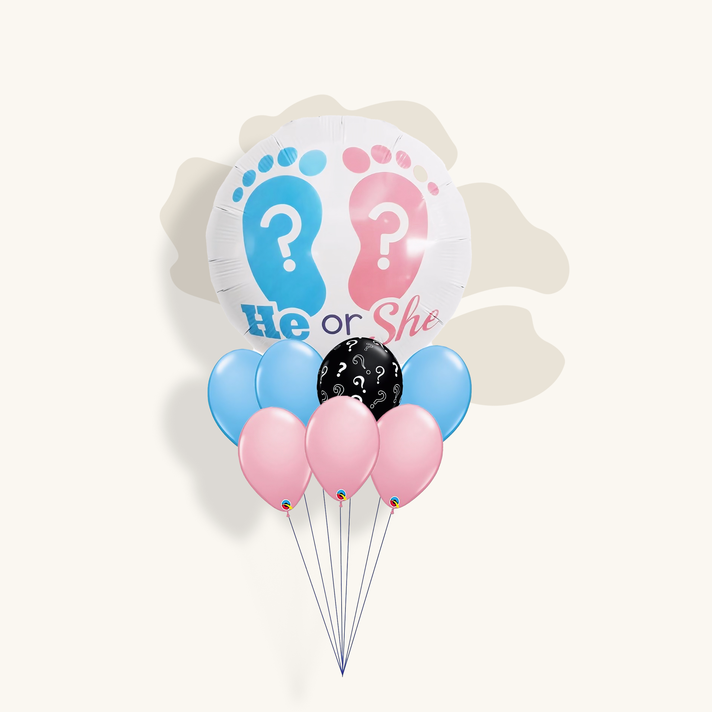 باقة تحديد جنس الجنين | He or She